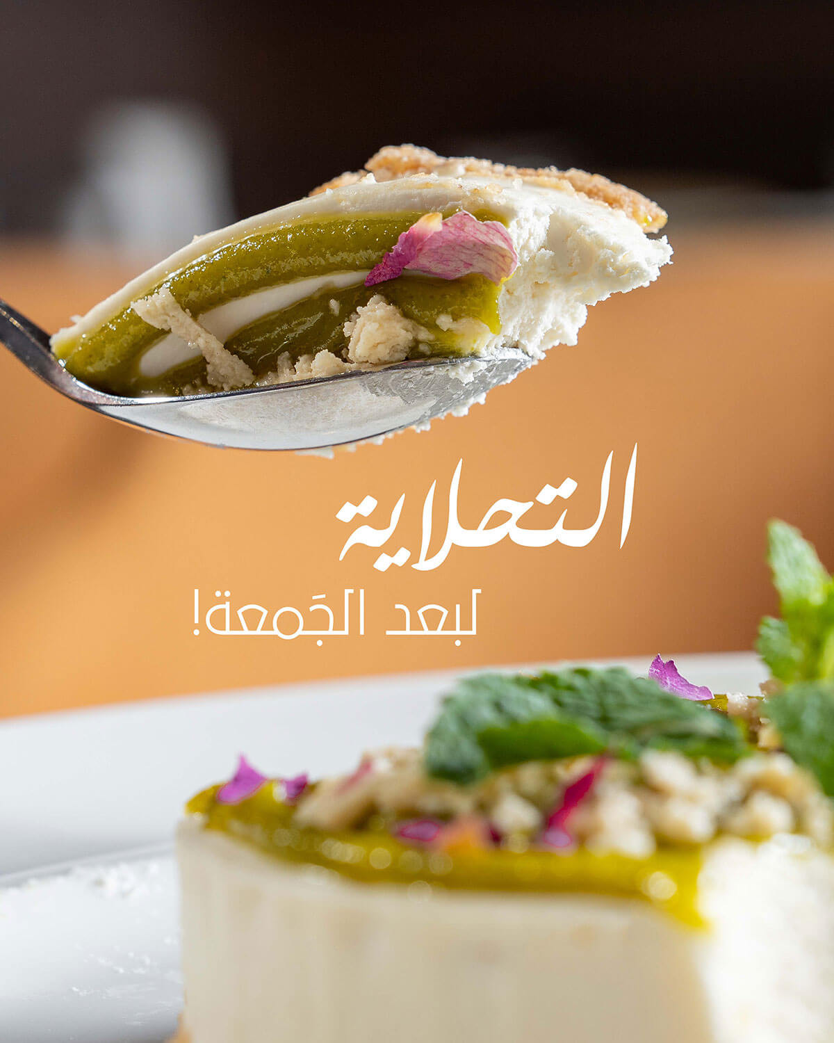 The Solidaire Restaurant