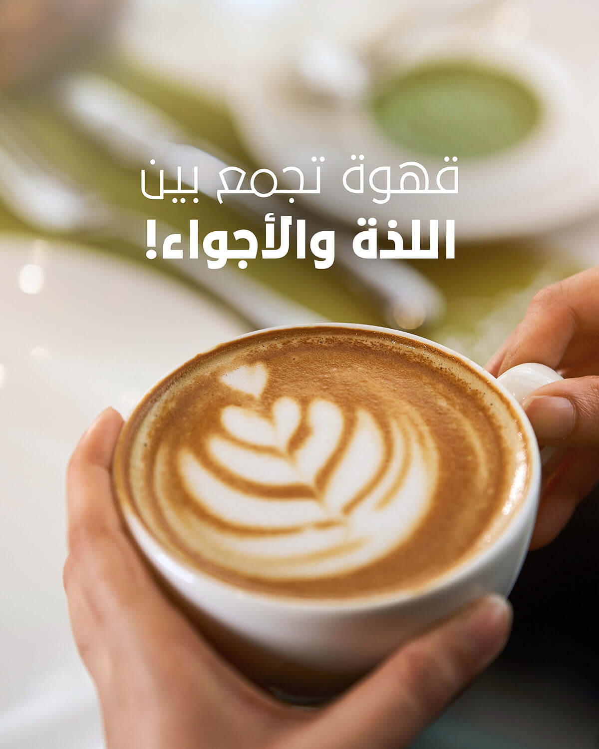 The Solidaire Restaurant